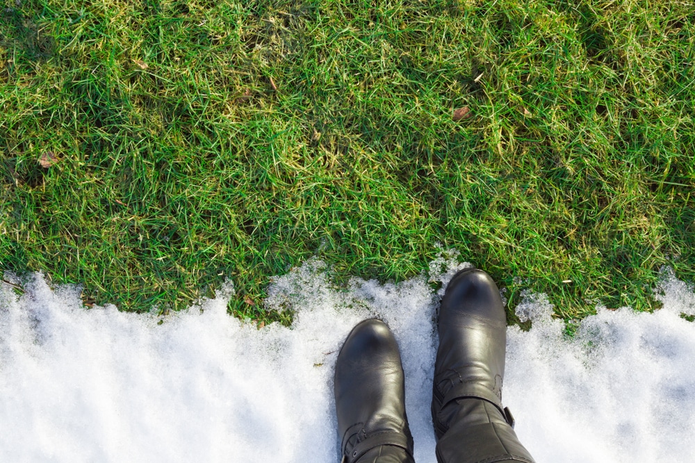 will-your-plants-survive-the-winter-storm-kwam-the-mighty-990